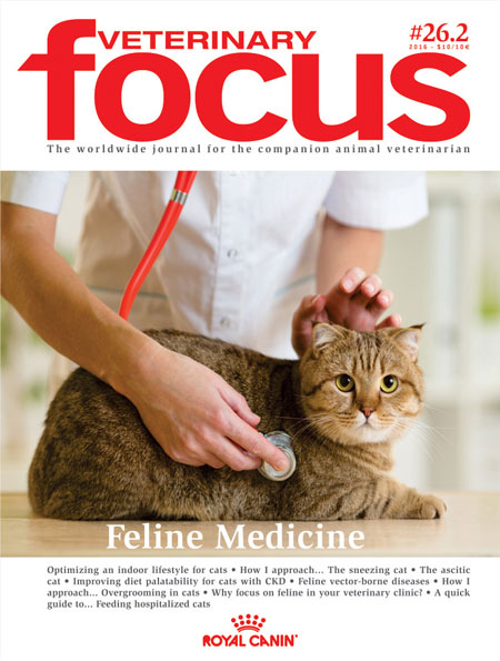 Focus Magazine 26.2